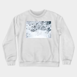 Powder Day Crewneck Sweatshirt